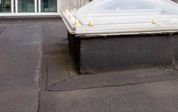disadvantages of Llanmartin flat roofs